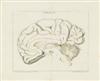 SOEMMERRING, SAMUEL THOMAS VON. Dissertatio inauguralis anatomica de basi encephali et originibus nervorum cranio egredientium.  1778